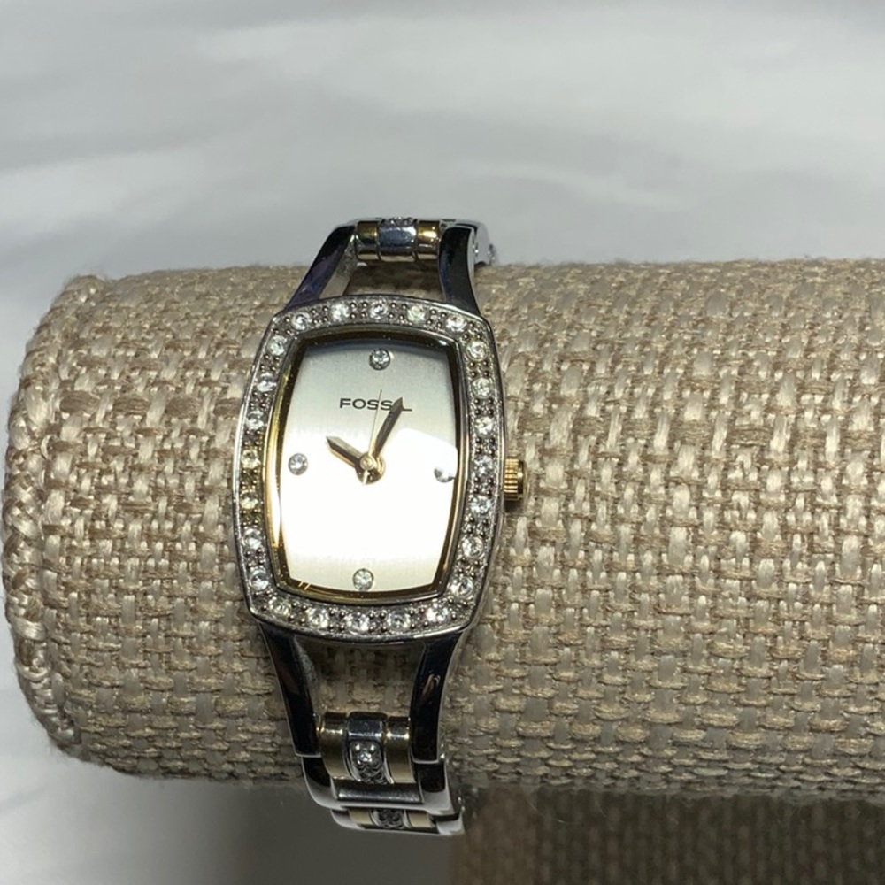 Fossil Watch